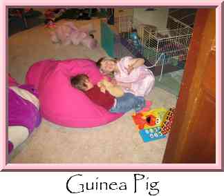 Guinea Pig Thumbnail
