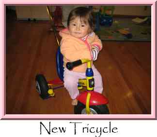 New Tricycle Thumbnail