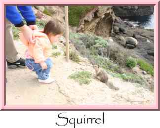 Squirrel Thumbnail