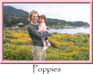 Poppies Thumbnail