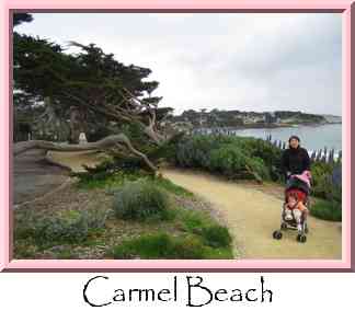 Carmel Beach Thumbnail
