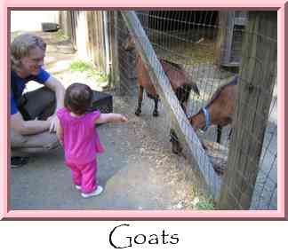 Goats Thumbnail