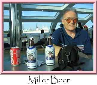 Miller Beer Thumbnail