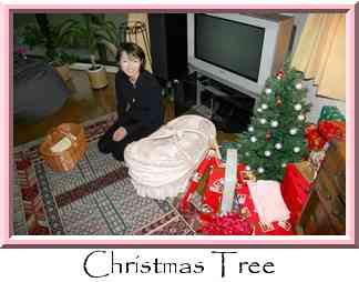 Christmas Tree Thumbnail