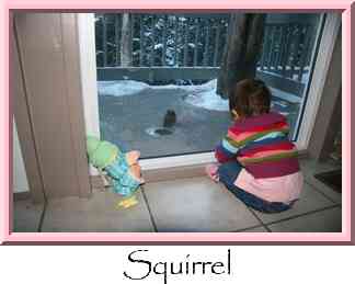 Squirrel Thumbnail
