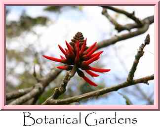 Botanical Gardens Thumbnail