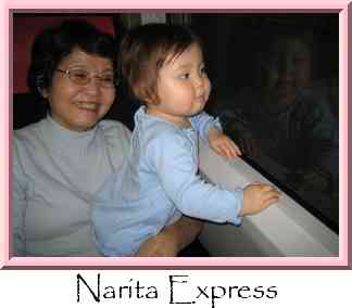 Narita Express Thumbnail