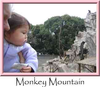 Monkey Mountain Thumbnail