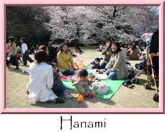 Hanami Thumbnail