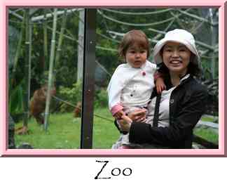 Zoo Thumbnail