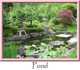 Pond Thumbnail