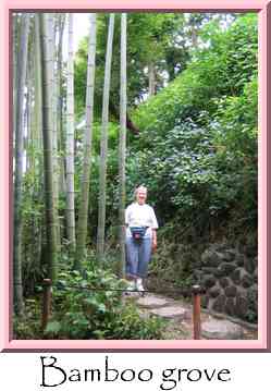 Bamboo grove Thumbnail
