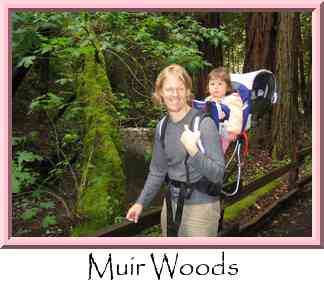 Muir Woods Thumbnail