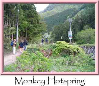 Monkey Hotspring Thumbnail