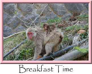 Breakfast Time Thumbnail