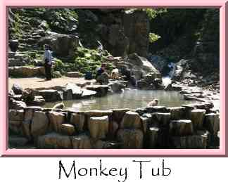 Monkey Tub Thumbnail