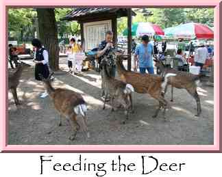 Feeding the Deer Thumbnail