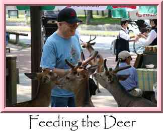 Feeding the Deer Thumbnail