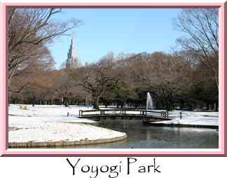 Yoyogi Park Thumbnail