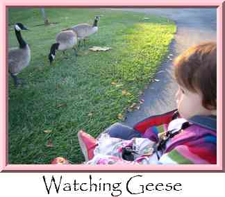 Watching Geese Thumbnail