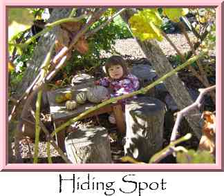Hiding Spot Thumbnail