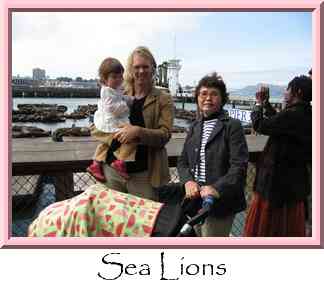 Sea Lions Thumbnail