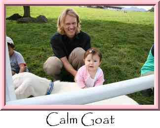 Calm Goat Thumbnail