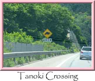 Tanoki Crossing Thumbnail