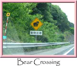 Bear Crossing Thumbnail