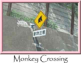 Monkey Crossing Thumbnail
