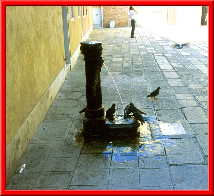 Pigeon Fountain