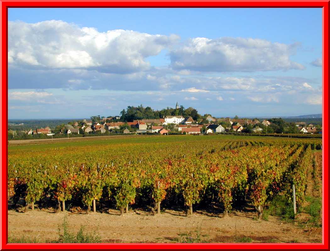 Burgundy Countryside