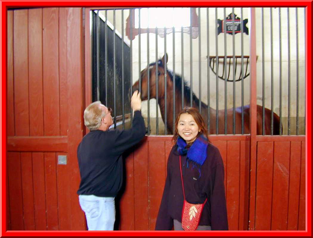 Cluny Stables