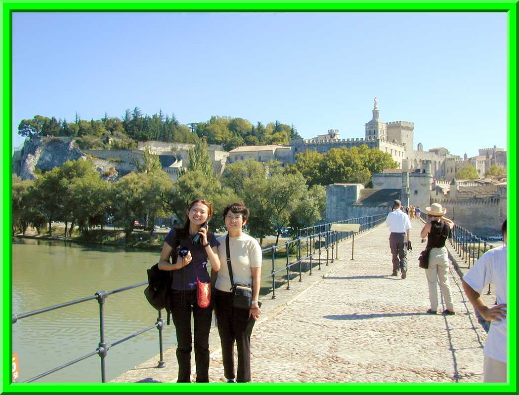 Bridge and Palais des Popes