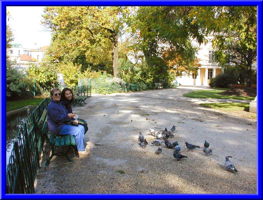 Feeding Pigeons