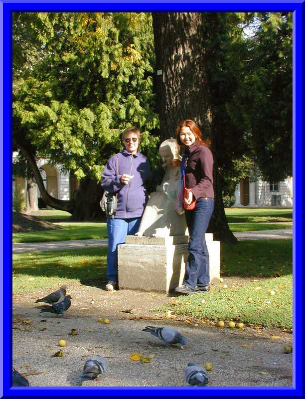 Feeding Pigeons