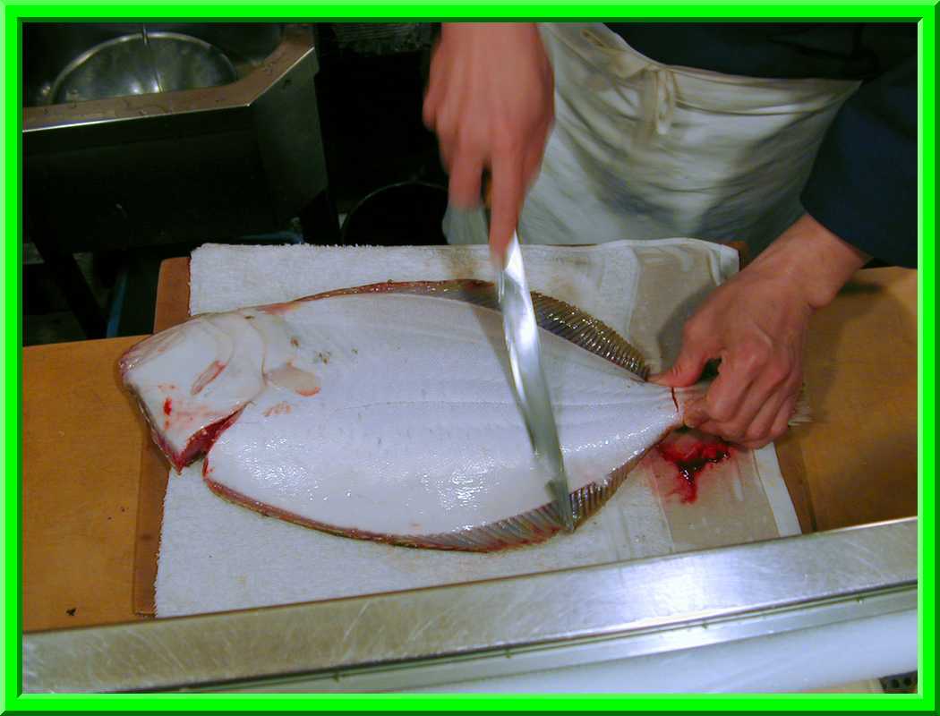 Skinned Fish