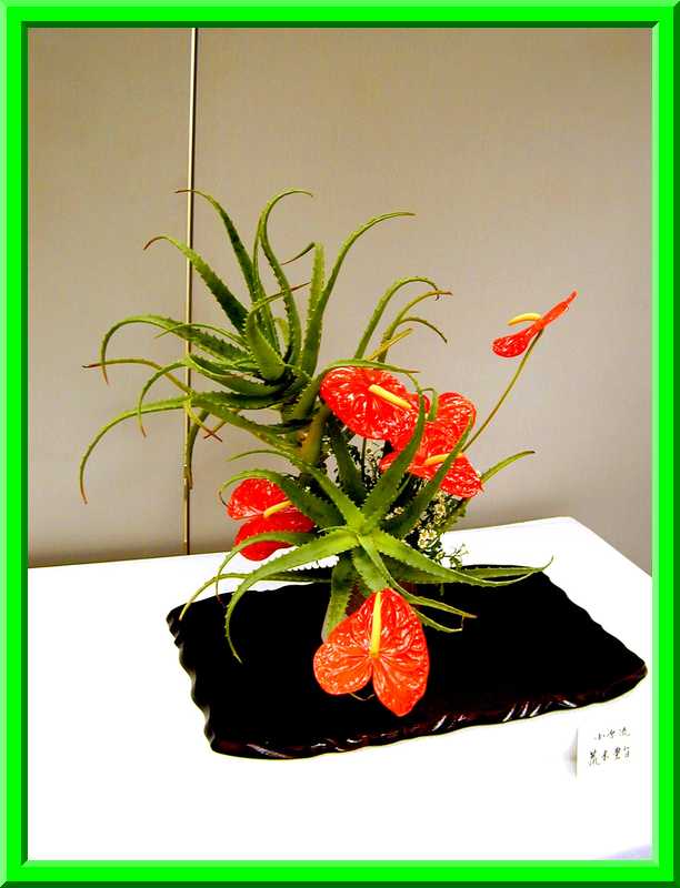 Ikebana