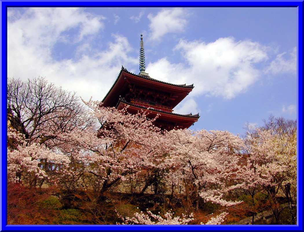 Kiyomizu-dera