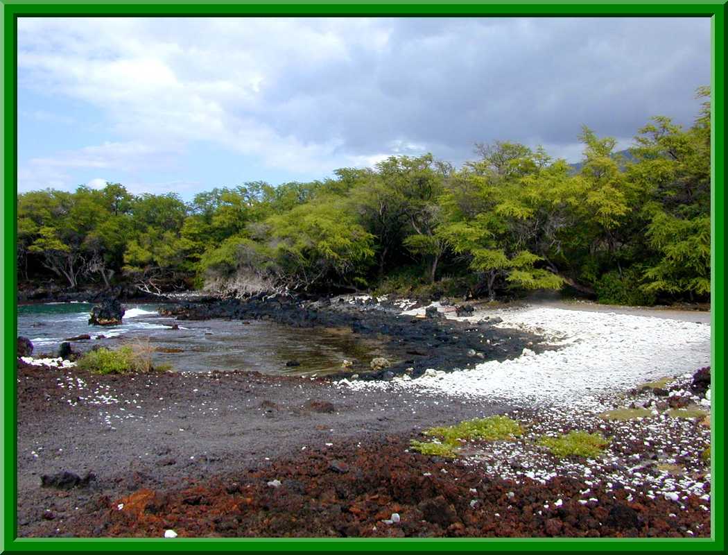 Maui Beach