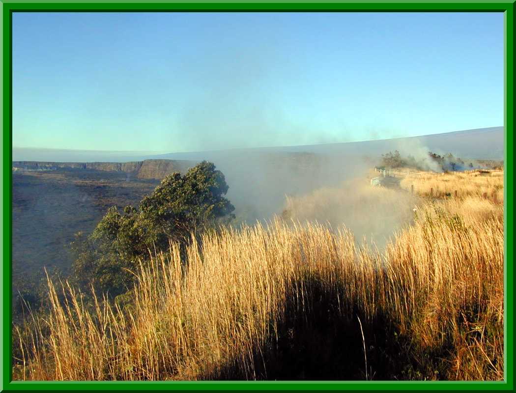 Steam Vents